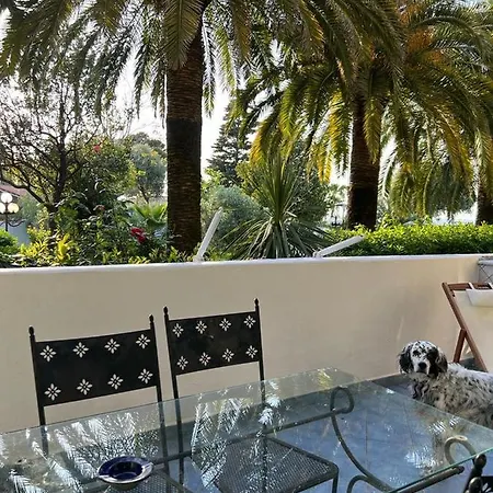 Holiday home Santa Caterina Forio (Isola d'Ischia)